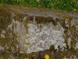 image of grave number 829731